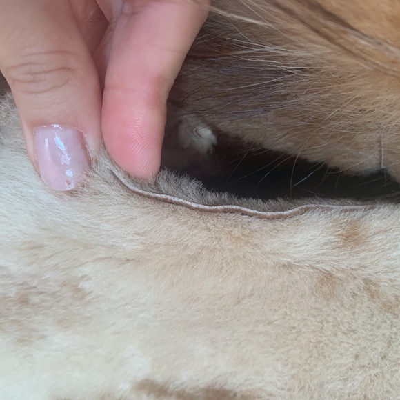 Sheepskin coat /suede - Picture 10 of 16